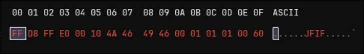 bleh decode